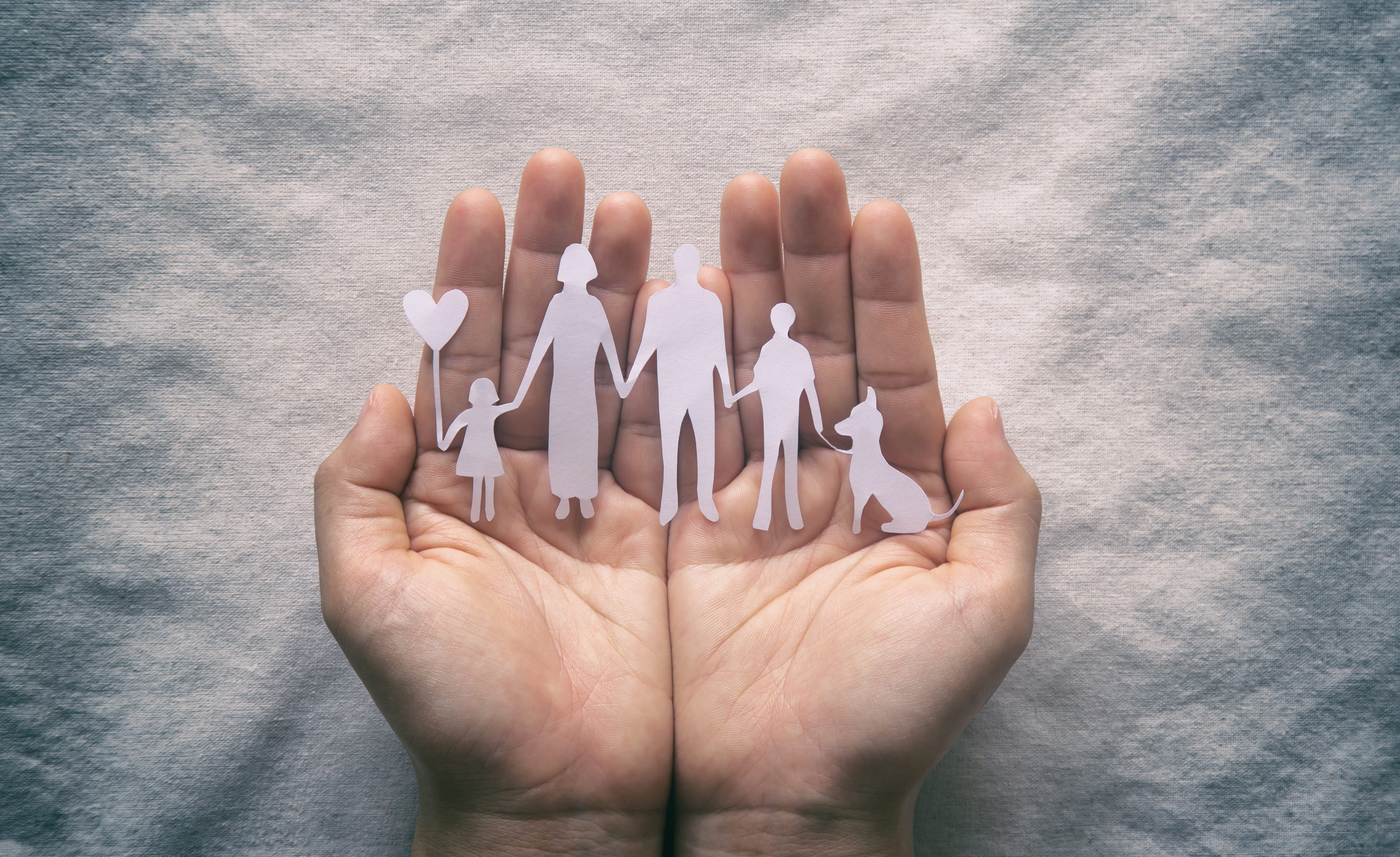 El rol de los bonos de fianza en los casos de violencia doméstica