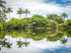 A sign displaying 'Fianzas' (bail bonds) in Kendall, Florida.
