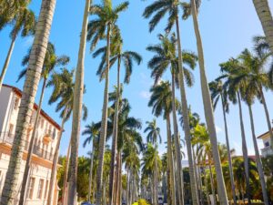 North Miami Beach, FL: A sign reading 'Fianzas' (bail bonds) against a backdrop of city buildings and palm trees.