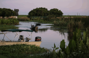 arrestado en belle glade 