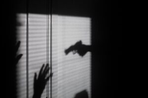 fianzas por violencia doméstica en florida